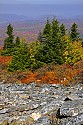 _MG_4099 spruce knob national recreation area overlook.jpg